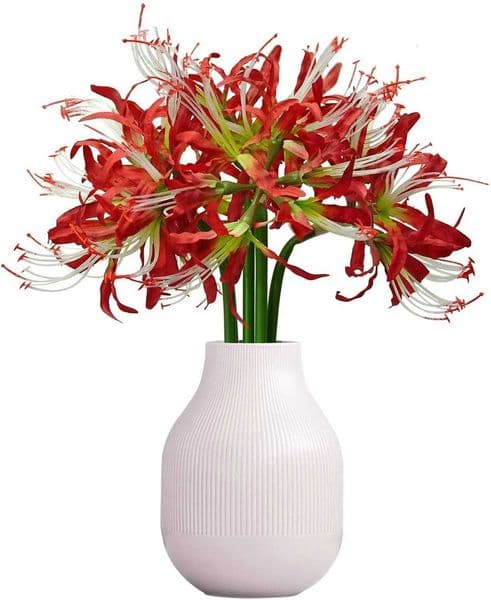 5 Pcs Artificial Flowers Spider Lilies Artificial Lycoris Bulbs with Long Stem Real Touch for Home Office Party Decorations L260522