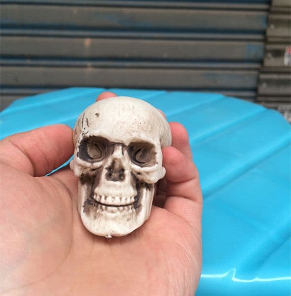 Handmade Decorative Mini Head Bone Skull Crafts Halloween Gift for Party Home Decoration
