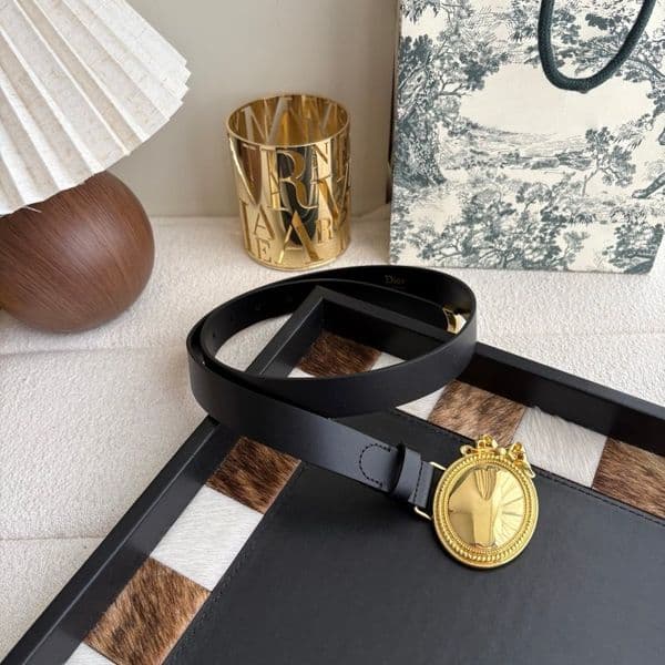 2.5cm Designer Real Leather Belt - Luxury Waist Cincher for Women