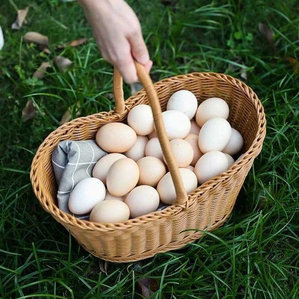 Plastic woven basket Vine flower hand woven portable bread storage picnic outdoor shopping handles basket gift for home decorJ260527