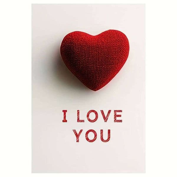 Frameless I Love You Canvas Wall Art Romantic Quote for Bedroom Living Room Couples Gift Anniversary Home Decor W260527