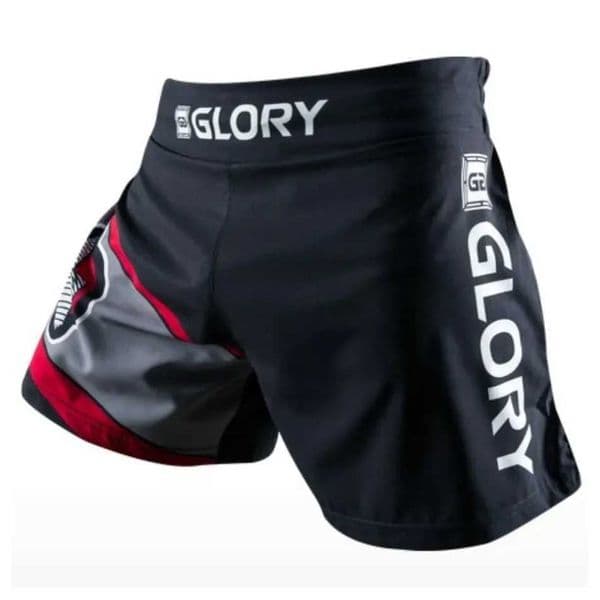 MMA Black Sanda Big Bird Breathable Training Boxing Shorts Tiger Muay Thai Cheap MMA Fight Kickboxing Clothing L260526
