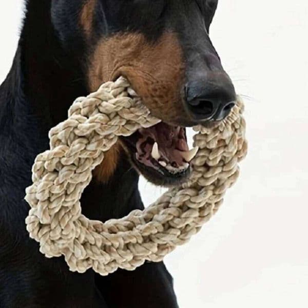 Dog Rope Durable Chew Bite Resistant Game Pet Toys for Medium Large Dogs Golden Retriever Pitbull Labrador Supplies J260528