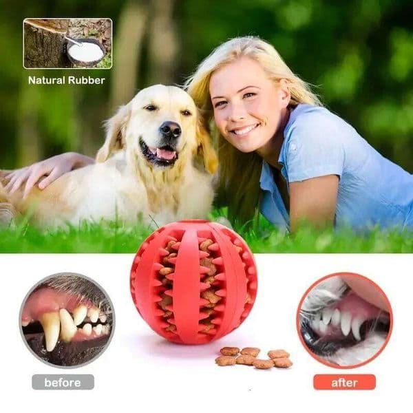 Dog Interactive Rubber Puppy Chewing Toys Pet Tooth Cleaning Ball Cats Pets Food Treat Feeder Silicone Balls Toy 26W0401