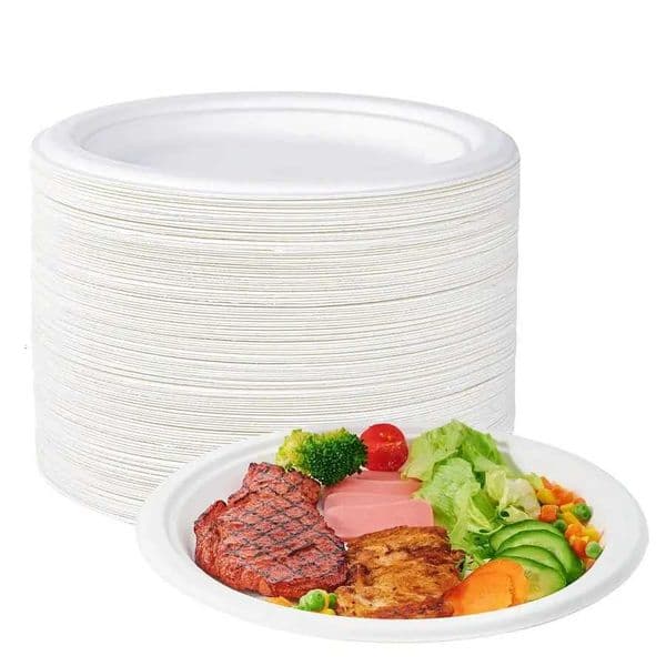 100 Compostable 10 Inch Heavy Duty Paper Plates 150 Pack Disposable Biodegradable Ecofriendly Sugarcane Bagasse Plates for Dinn X260402