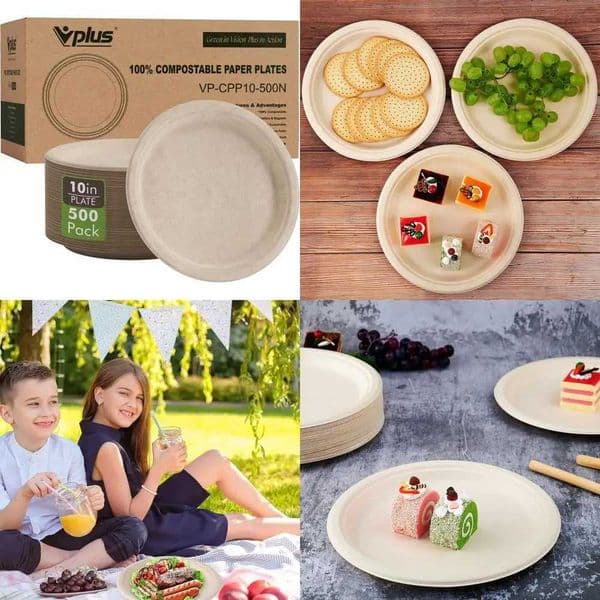 500 Pack 1025 Inch Biodegradable Paper Plates - 100 Bagasse Eco-Friendly Strong Natural X260402 thumbnail 2
