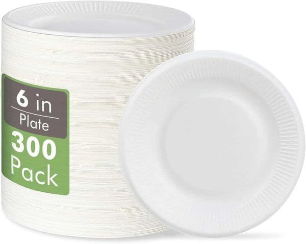 6 Inch Disposable Paper Plates 300 Pack Compostable Biodegradable Made of Sugar Cane Fibers for Sand Cake Snack X260402
