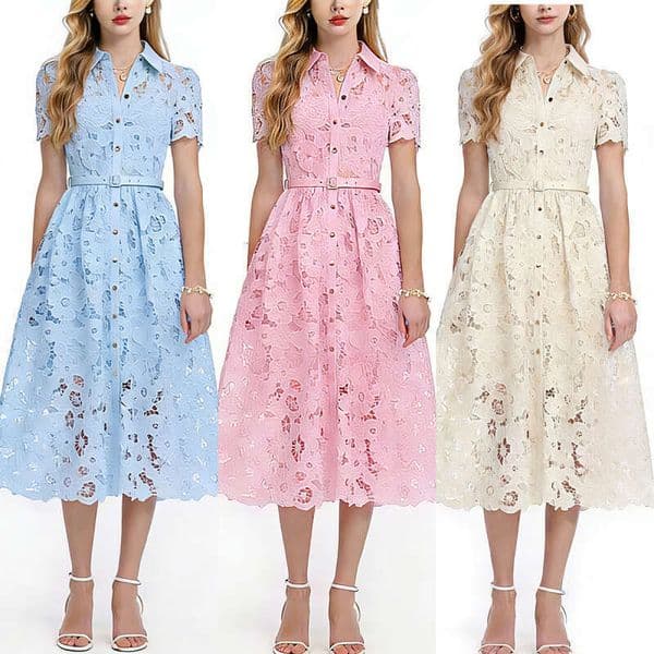 French hollow flower lace folding collar short sleeved slim waist design paired with inner lining skirt 2026
