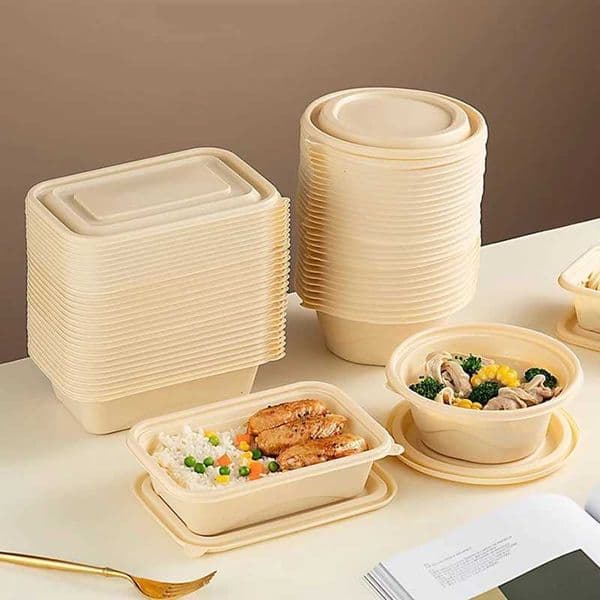 20Pcs Biodegradable Food Containers with Lids Disposable Takeout Boxes Salad Fruit Bowls Microwavable Freezer Safe X260402