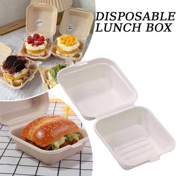 Disposable Bento Takeaway Container Disposable Bento Cake and Cupcake Box Heatable Biodegradable Food Container Dessert Box X260402