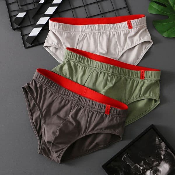 Solid Cotton Briefs Mens Convex Pouch Panties Youth Fasion Lingerie Low Rise Breathable Comfortable Underwear Color 260403BANJIA