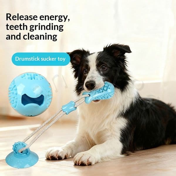 Dog suction cup leash toy - A tooth-cleaning chew toy with strong chewing power - A pet item for entertaining large/medium-sized dogs
