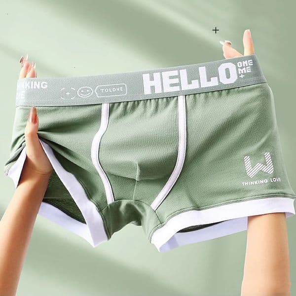 Men Panties Cotton BoxerShorts Man Underwear Mens Boxers Breathable U Convex Male Underpants Sexy Plus Size 260401BANJIA