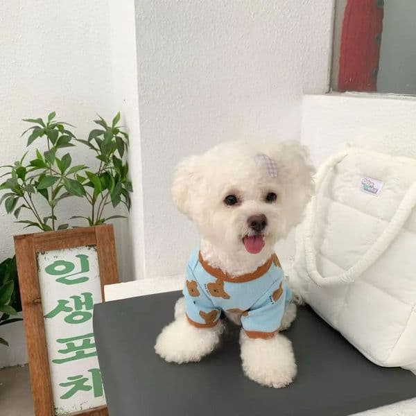 Luxury Spring Small Dog Bichon Teddy Schnauzer dog Bottoming Shirt Cat Pomeranian Autumn And Winter Puppy Four-Legged Clothes cat Free Shipping