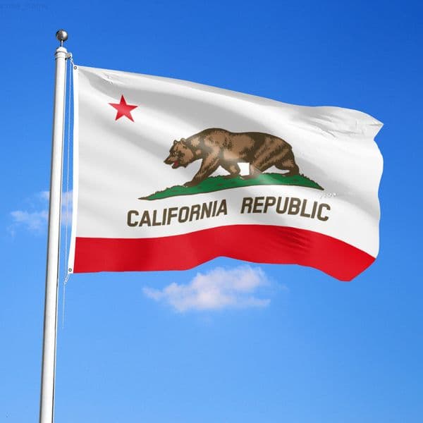 90x150cm 35ft California State Flag No 4 Hanging Flags