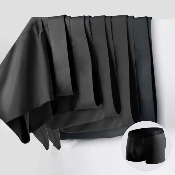 5Pcs Man Underwear Summer Thin Ice Silk Mens briefs Breathable Soft Touch Mens clothes 3D Cutting U Pouch n Boxer men 260408BJ