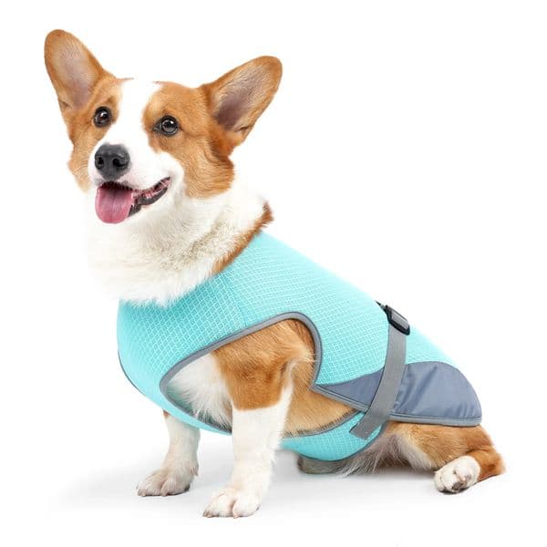Cooling Vest Breathable Dog for Summer Days Adjustable Lightweight Jacket with Reflective Strips 260410