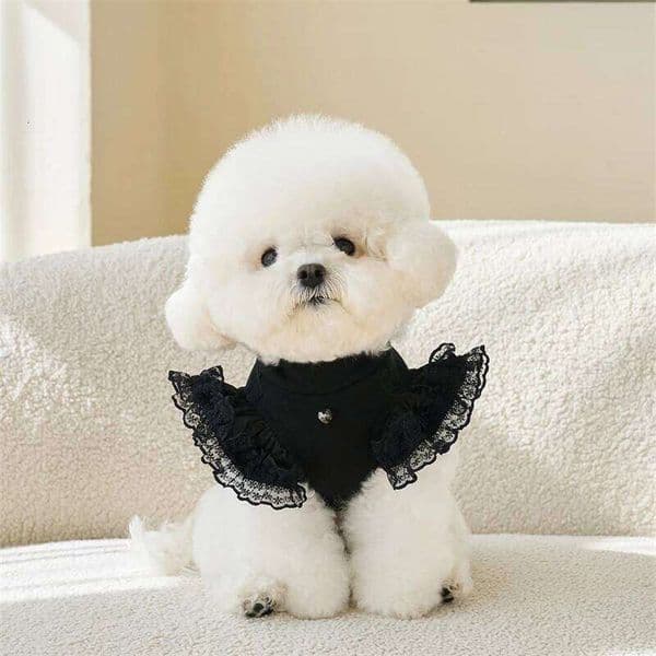Black Lace Ruffle Shirt for Small Dog Girl Dresses Cat Dress Puppy Outfits Size XS-XL Chihuahua Clothes 26W0411