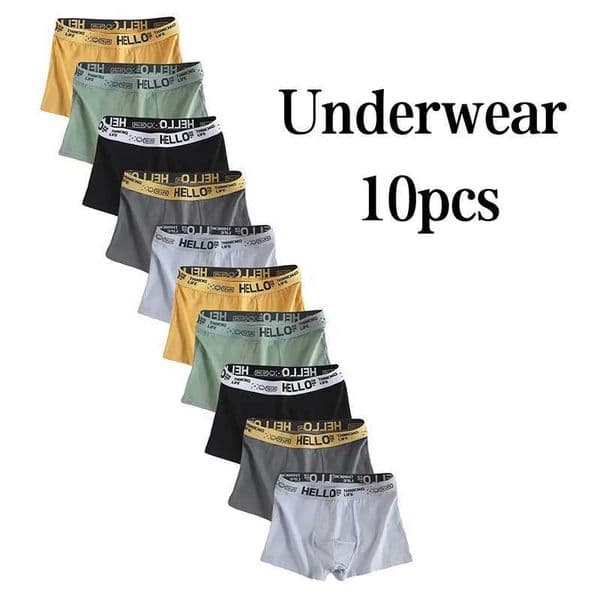 10 Piece Set Of Solid Color Casual Mens Boxer Shorts With Letter Printed Elastic Waistband Breathable Mens Soft Underwear Z260411