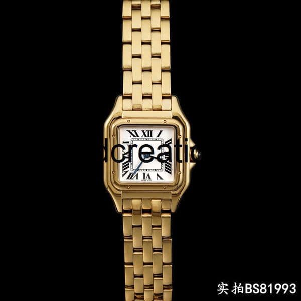 Luxury Brand C designer watch Cheetah Square Watch for Women Stainless Steel Fashion Wristwatch Selected Waterproof Quartz Watch Trendy Womens Watch 0I3H