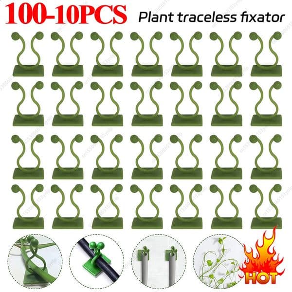 10100Pc Plant Climbing Wall Clips Vine Buckle Hook Rattan Clamp Fixator SelfAdhesive Stent Invisible Fixed 260414