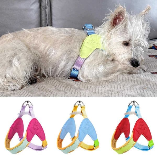 Type Y Dog Harness Breathable Adjusted Pet Chest Straps for Small Dogs French Bulldog Schnauzer Puppy Outdoor Walking Supplies H260415