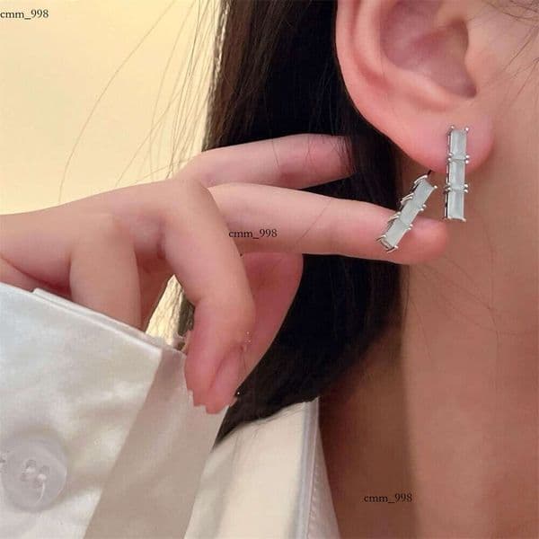 New Chinese-style long tassel earrings with a light luxury high-end feel, enamel-coated vintage artistic ancient-style studs and ear hooks accessories