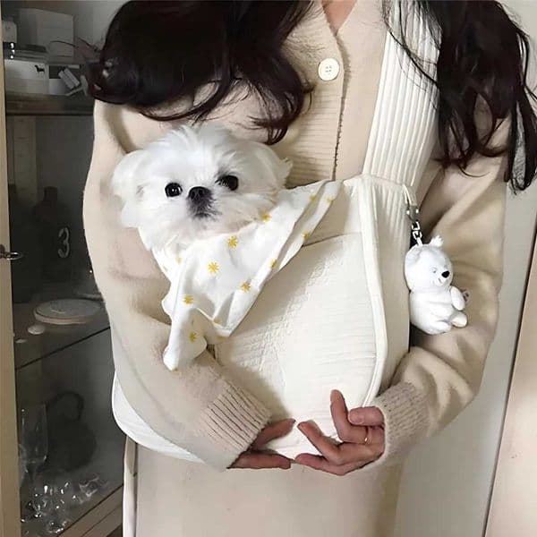Handmade Dog Bag Pet Kitten Carrier Outdoor Travel Handbag Canvas Single Shoulder Pet Cat Bag Sling Comfort Tote Bag Breathable H260415