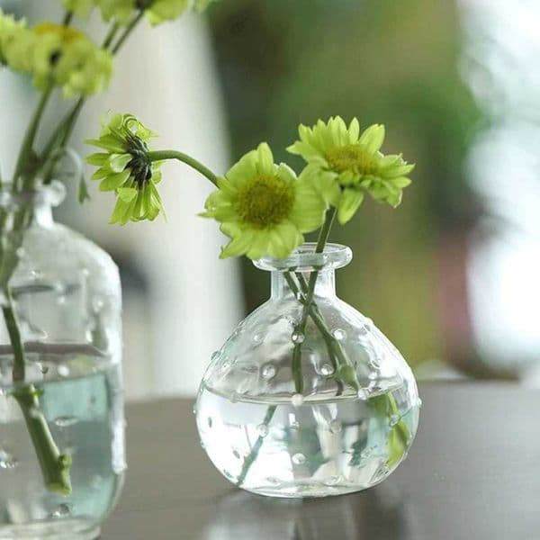 Mini Glass Flower Vases Clear Vases Hydroponic Flower Bottles Desk Accessories Wedding Vases Ornament Home Decor L260516