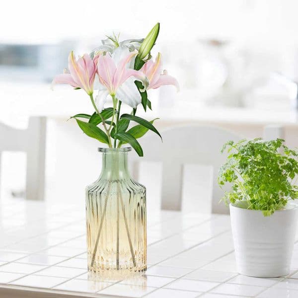 Premium Transparent Glass Relief Vase Hydroponic Flower Arrangement Holder Fine Workmanship Simple Elegance Decorative Home Vase L260516