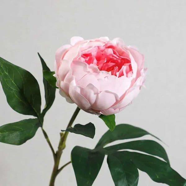 5Pcs/lot Hand-feel Moisturizing Peony Flower Artificial Real Touch Peony Bouquet Wedding Decor Home Accessories Party Fake Lotus T260420