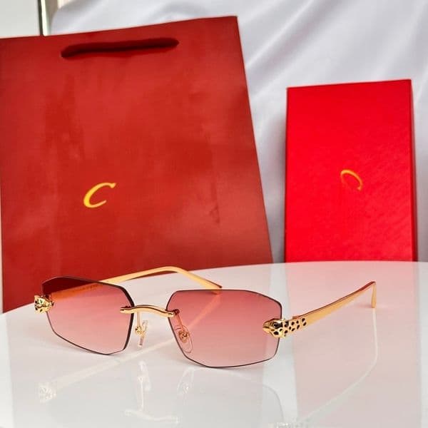 Sunglasses Designer sunglasses Personal use Gift For outdoor sun protection Suitable for daily outdoor wearing Trending items Exquisite stylish choice Very nice