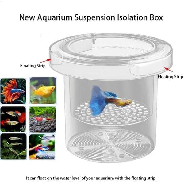 Acrylic Floating Fish Breeding Isolation Box Aquarium Breeder Feeder Fish Tank Hatching Incubator Aquarium Hatchery Accessory 250520BJ