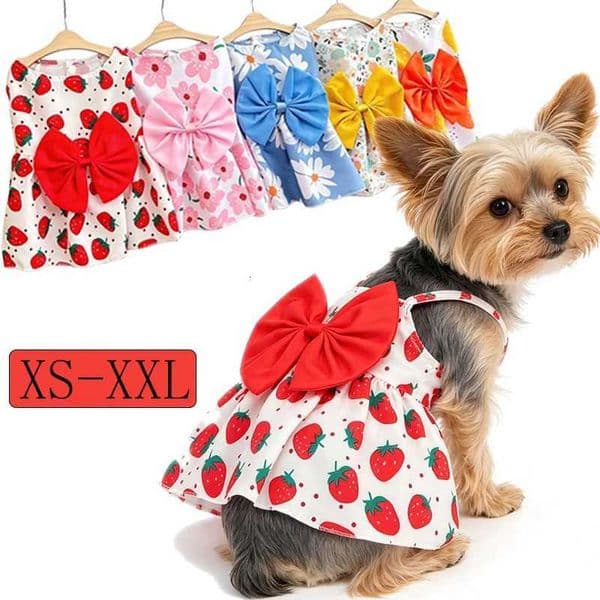 Puppy Summer Dress Dog Cat Princess Dress Pet Clothes for Small Medium Dogs Printed Bow Kitten Dog Skirt Yorkshire Teddy Apparel H260420