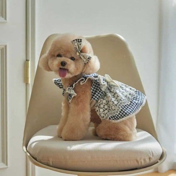 Comfortable Cotton Dog Vest Lace Flying Sleeve Cat Princess Skirt Cute Soft Pet Clothes Kittens H260420