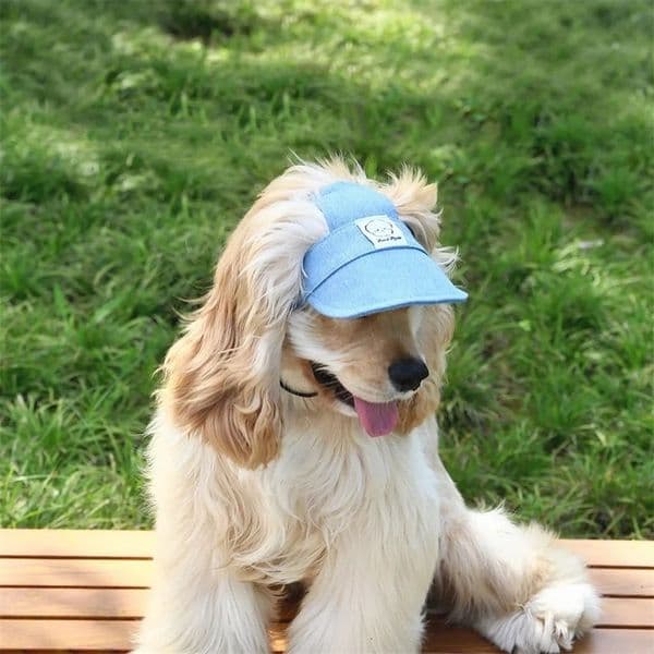 Dog Hat with Ear Holes Adjustable Denim Dog Sun Protection Hat Outdoor Baseball Cap for Dogs Small Medium Large Pet Accessories 260320BJ