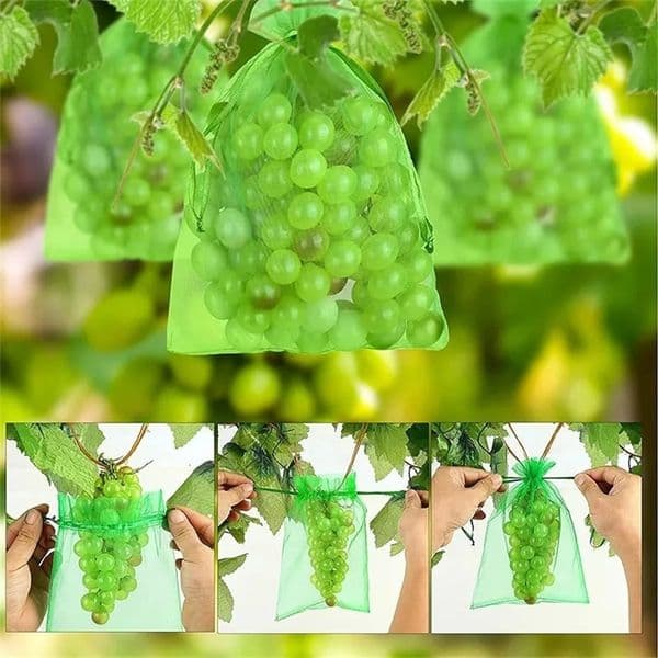 Fruit Protection Bags 100PCS Grapes Mesh Bag Pest Control Anti-Bird Vegetable Fruits Net Garden Planter Strawberry Grow Bags 250614BJ