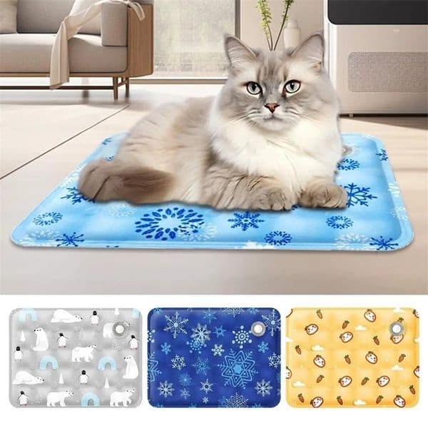 Cooling Beds Cats Accessory Accessories Dog Bed Goods Mat Houses Habitats Pet Products Cushions Puppy House Things Kitten Basket 260414ww