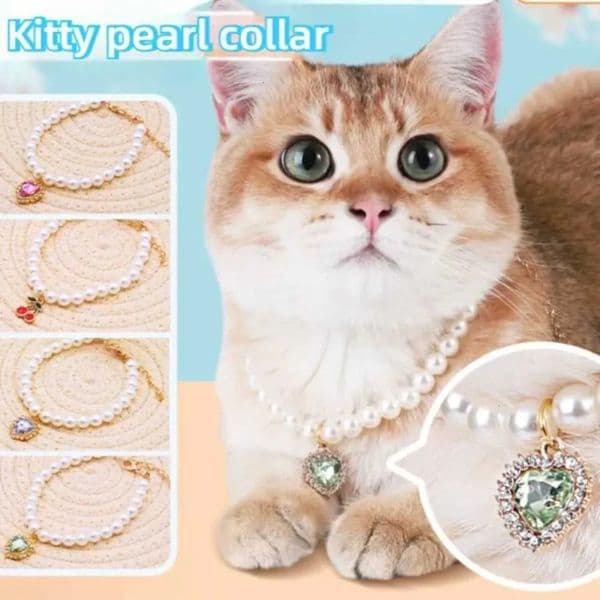 Luxury Designer Pearl Cat And Dog Collar Pendant cat Pet Supplies Love Crystal Kitten Necklace dog Shipping 1 7 4