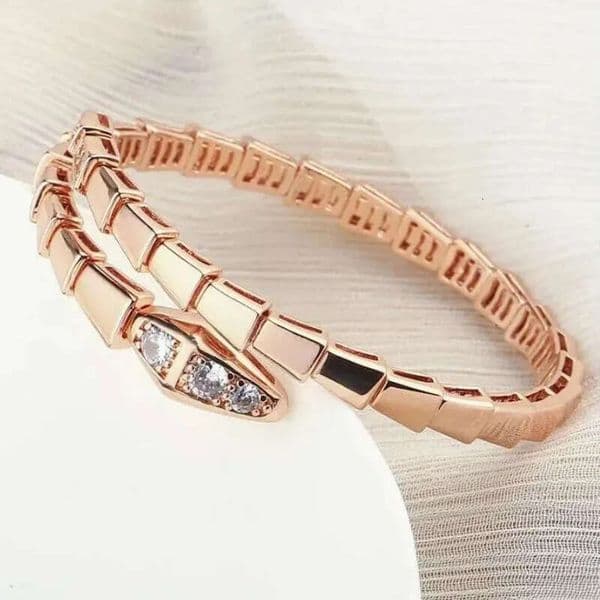 Designer Jewelry Narrow Single Circle Snake Designers Bracelet Gold Bracelets Bangle Party Birthday Gift High Quality H446 aaa