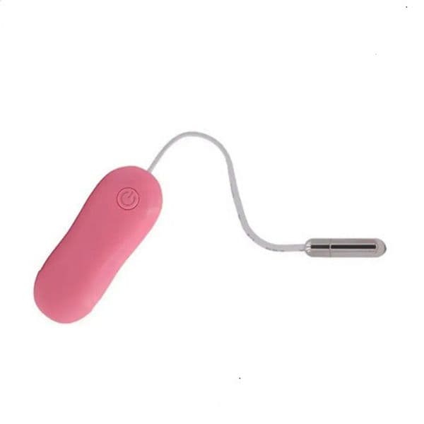 2026 New Adult Toys Dilator Stainless Steel Waterproof Plug Urethra Probe Vibrating Egg 10 Frequency Masturbation Sex Toy Free Shippin 01