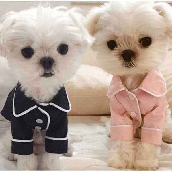 2026 Summer French Pajamas Pomeranian Bear Bullfighting Small Dog Teddy Pet Clothes Shirt Feel Comfortable When Touched Free Shipping 003