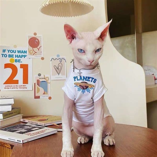 Pet Dog And Cat Cooling Vest Sunscreen Vest Pet New Sleeveless Vest Summer Air Conditioning Clothing For Hairless Cats German Shorthair Ragdoll Cat Clothes