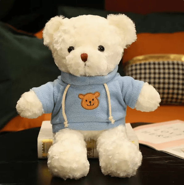 Hoodie Teddy Bear Plush Toy Soft Stuffed Bear Doll Cute Plush Companion Gift