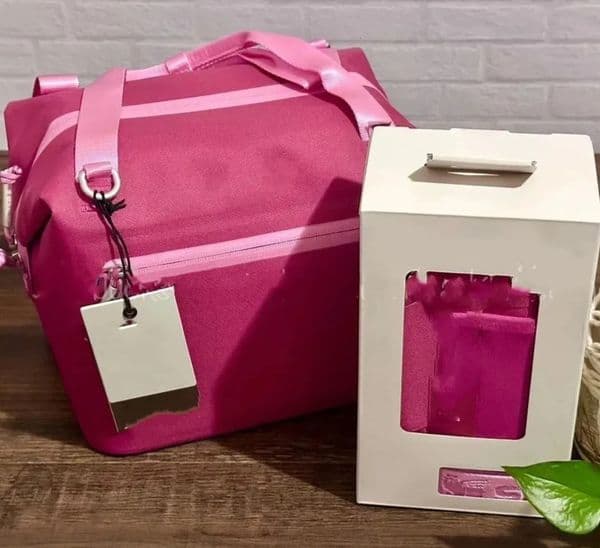 Luxury Designer Decor US Stock All Day room Julienne Mini Soft Cooler Bag And Lunch Box 10 Can Recycled Polyester Decoration For Home 4 66