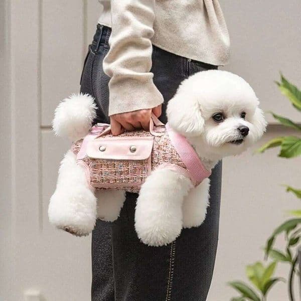 2026 Stylish Dog Horizontal Elegant with Leash Handle Pet Traction Backpack Wear-resistant Breathable Cat Carrier Bag 26H0428
