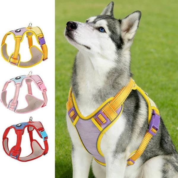 No-Pull Dog Harness Vest with Striped Color Block Design New Macaron Colors Adjustable Escape-Proof Pet Leash Set for Walking ddmythur