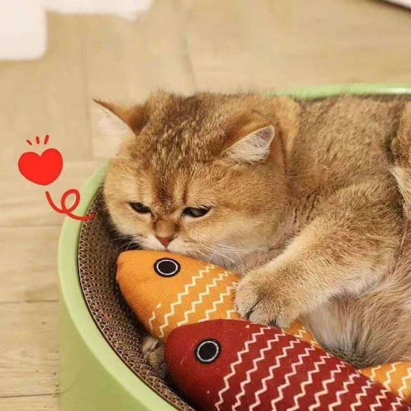 Catnip Fish Cat - Realistic Plush Chew Toy for Self-Play, Stress Relief, Scratch-Resistant Kitten Pet Supplies