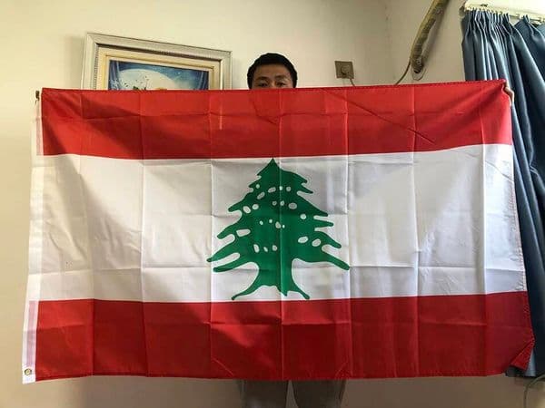35FT Republic Of Lebanon Lubnan Flag Indoor Outdoor 90x150cmcm Hanging Polyester Flag