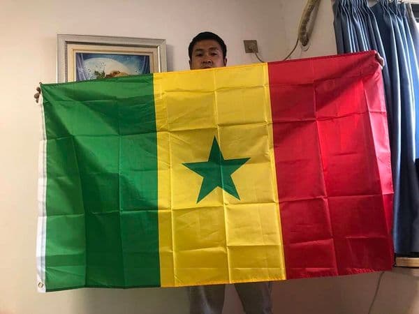 Skyflag Senegal Flag 90x150cm 3x5 Feet Super Poly Football FLAG Indoor Outdoor Senegal Polyester Hanging Flags
